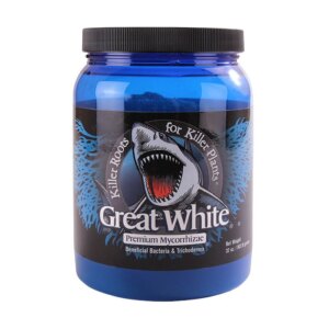 Great White Great White