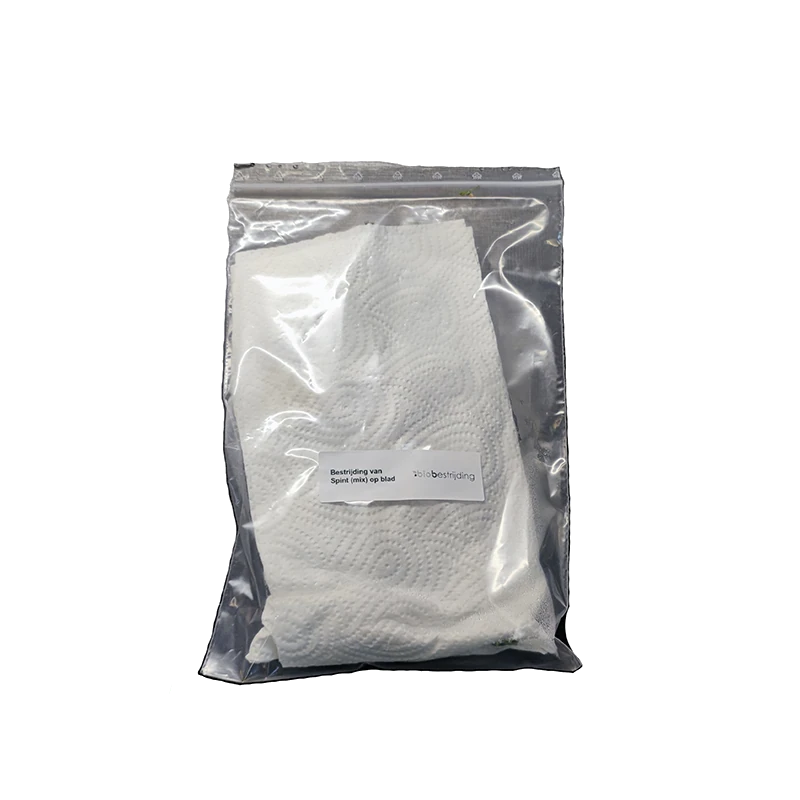 Biobestrijding BioBestrijding | Roofmijt-Mix tegen Spint