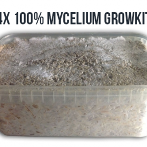 4x 100% Mycelium FreshMushrooms Grow Kit