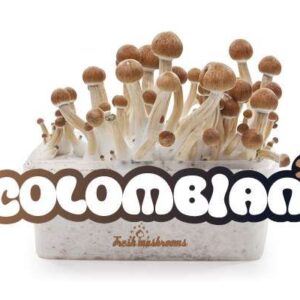 Columbian - FreshMushrooms Mushroom grow kit 1200cc