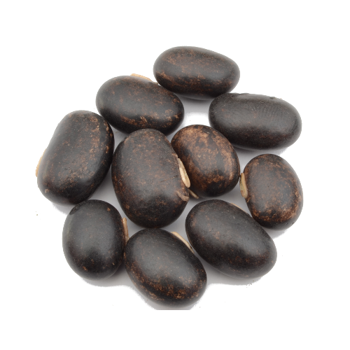 Mucuna pruriens - velvet Beans