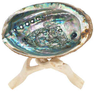 Abalone smudge set with Cobra tripod