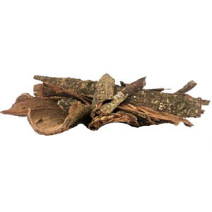 Acacia confusa root bark Taiwan - whole