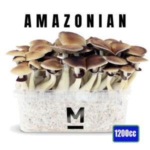 Pes Amazonian Magic Mushroom Grow box - 1200cc