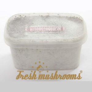 Cambodian Mini - Freshmushrooms grow kit