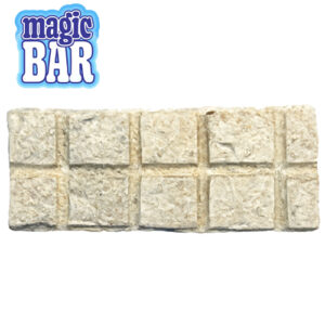 Magic Bar - Edible Psychedelic Mycelium