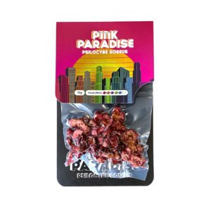 Pink Paradise Pouch Magic Truffles - 15 grams