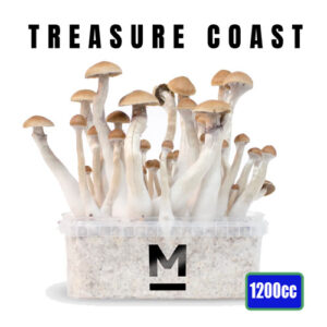 Treasure Coast Magic Mushroom Grow set - 1200cc