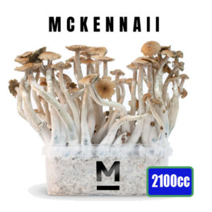 McKennaii XL Magic Mushroom Growkit 2100cc