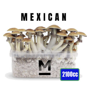 Mexican XL Magic Mushroom Growkit 2100cc